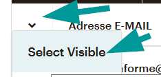 Mailchimp : Nettoie tes inactifs 44 sélectionne les inactifs