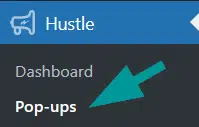 Des popups élégantes pour promouvoir ta newsletter, tes offres... sur WordPress 63 menu popup hustle