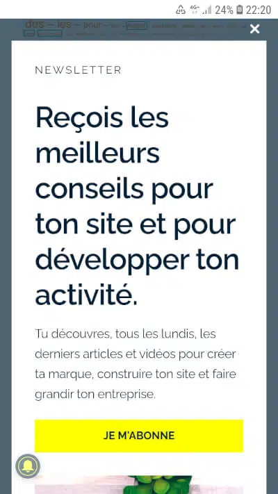 Des popups élégantes pour promouvoir ta newsletter, tes offres... sur WordPress 95 rendu popup sur mobiles