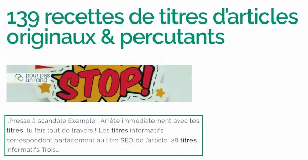 Relevanssi : Optimise le moteur de recherche de WordPress 36 Extrait personnalisé
